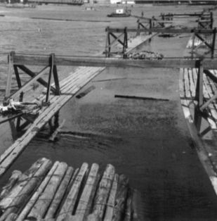 Die Umleitung von Floessen auf dem Fluss in Oulu in Finnland. 1967. Photo: Erwin Thomasius.