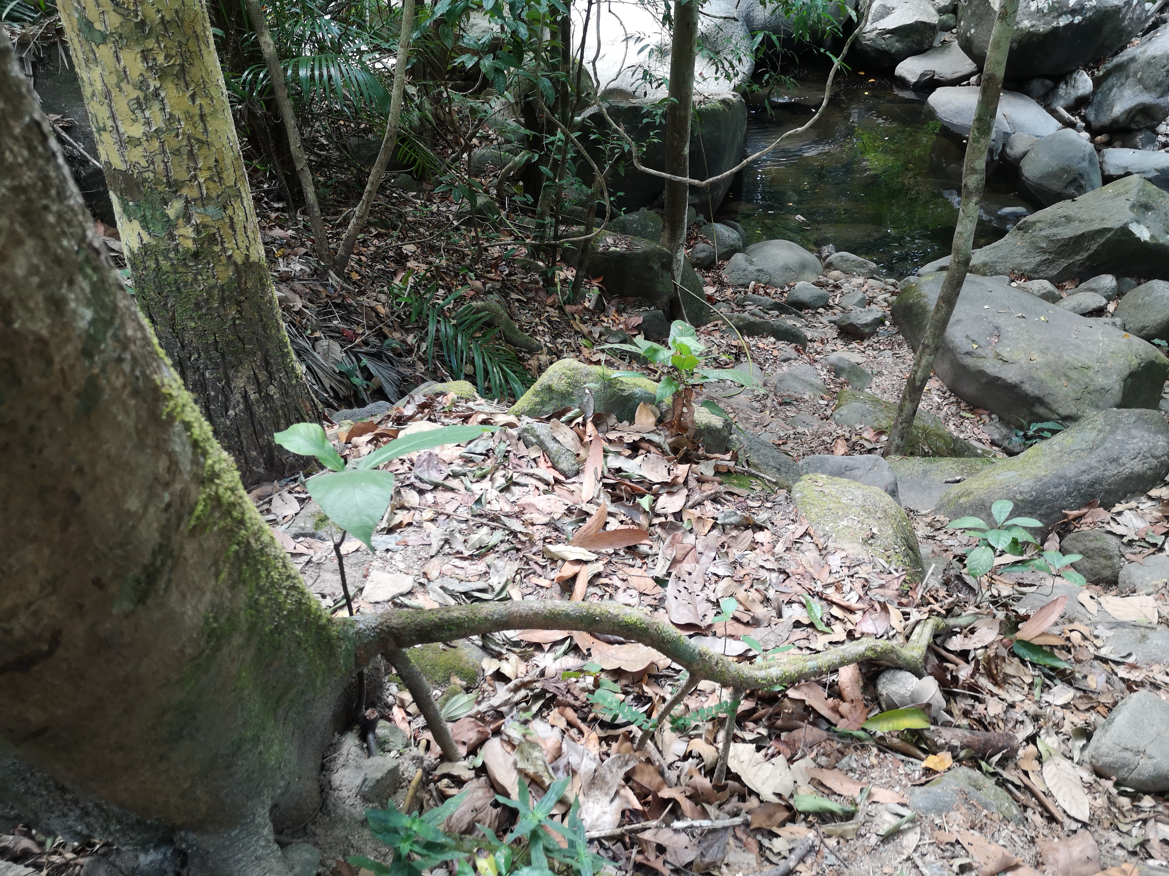 Farbfoto von einem Wasserfall am Khao Chamao Urwald im Khaochamao-Khaowong National Park in Thailand. Im April 2023. Fotograf: Erwin Thomasius.